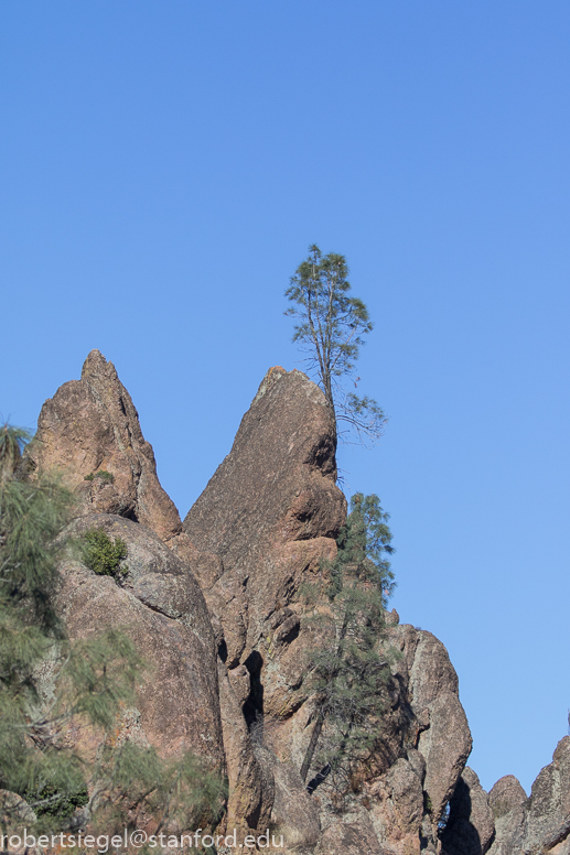 pinnacles